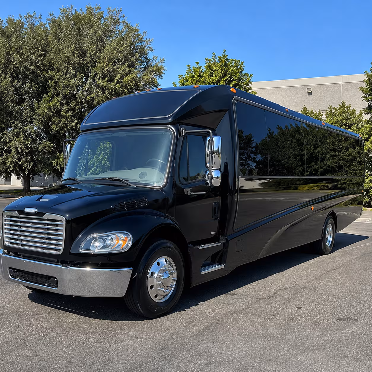 madera 15 passenger minibus